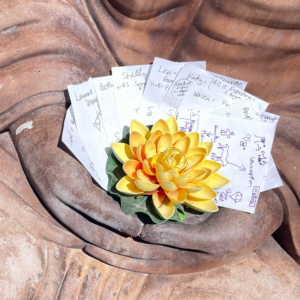 buddha lotus intentions creative retreat